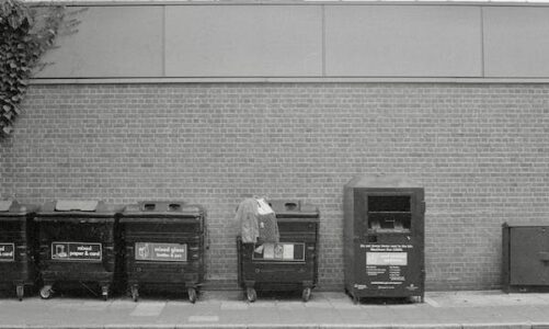 Afvalcontainer huren in Apeldoorn: een stap vooruit in recycling